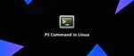 Using the ps Command